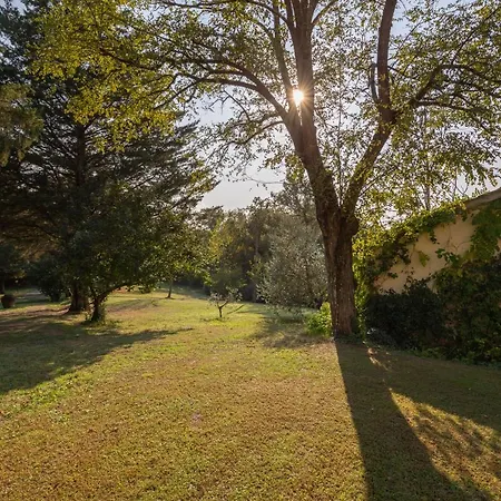 Podere Le Capannucce Holiday home Pontedera