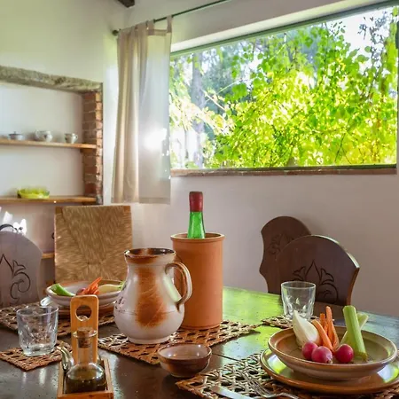 Holiday home Podere Le Capannucce Pontedera